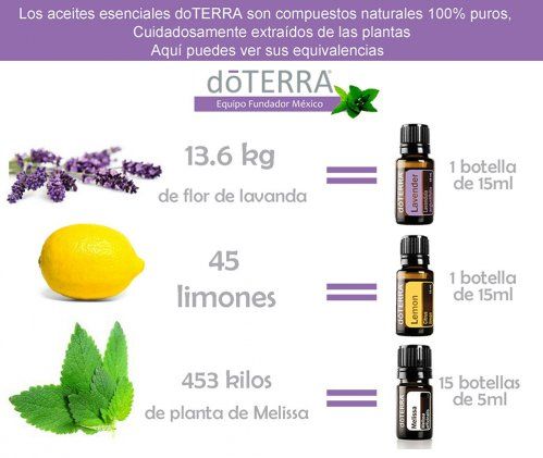Aromaterapia en Móstoles